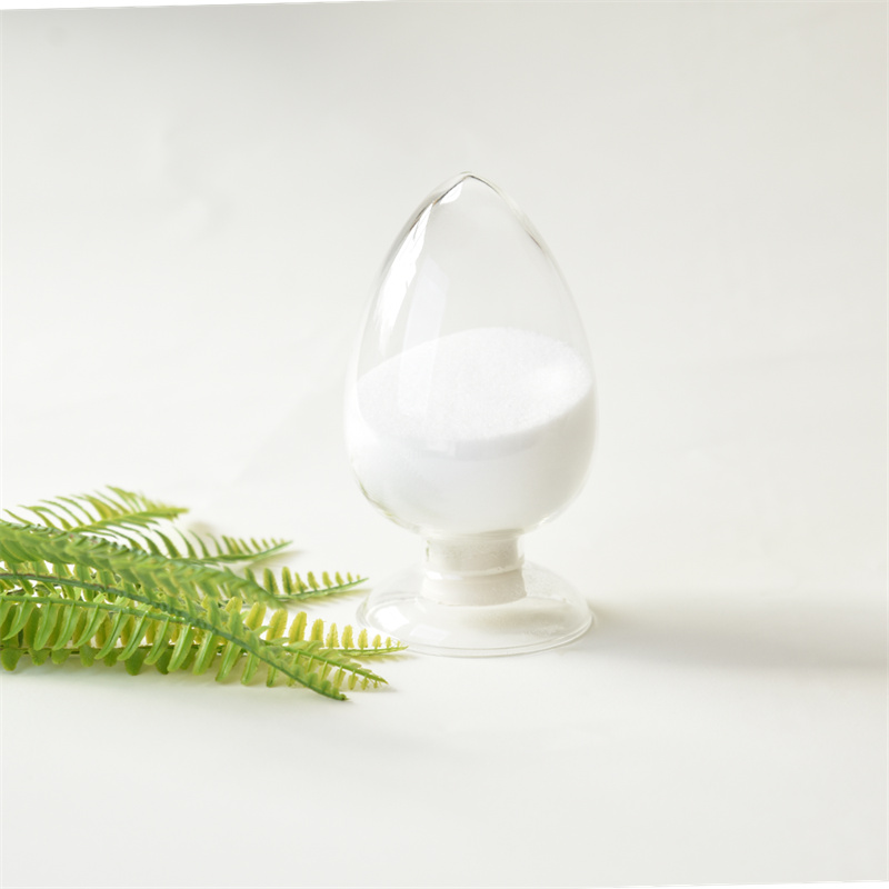 3-CHLORO-2,2-DIMETILPROPIONO RŪGŠTIS rūgštis CAS 13511-38-1