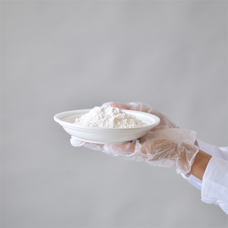 Adenozino 5-trifosfato dinatrio druska CAS 987-65-5